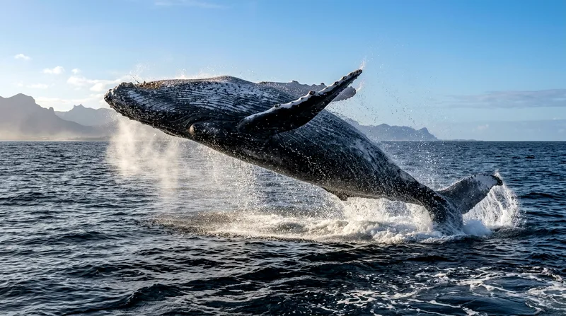 Mauritius Boat Tours in Winter: What to Expect